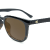 West End Tortoise / Amber
